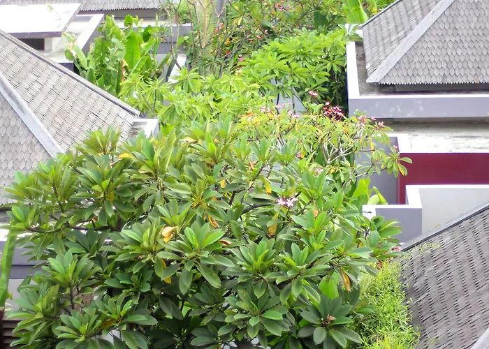 Hotel Aria Exclusive & Seminyak