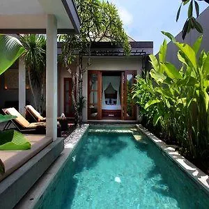 Aria Exclusive &